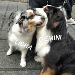 OLIVETA – MIRANDA PROD. OL