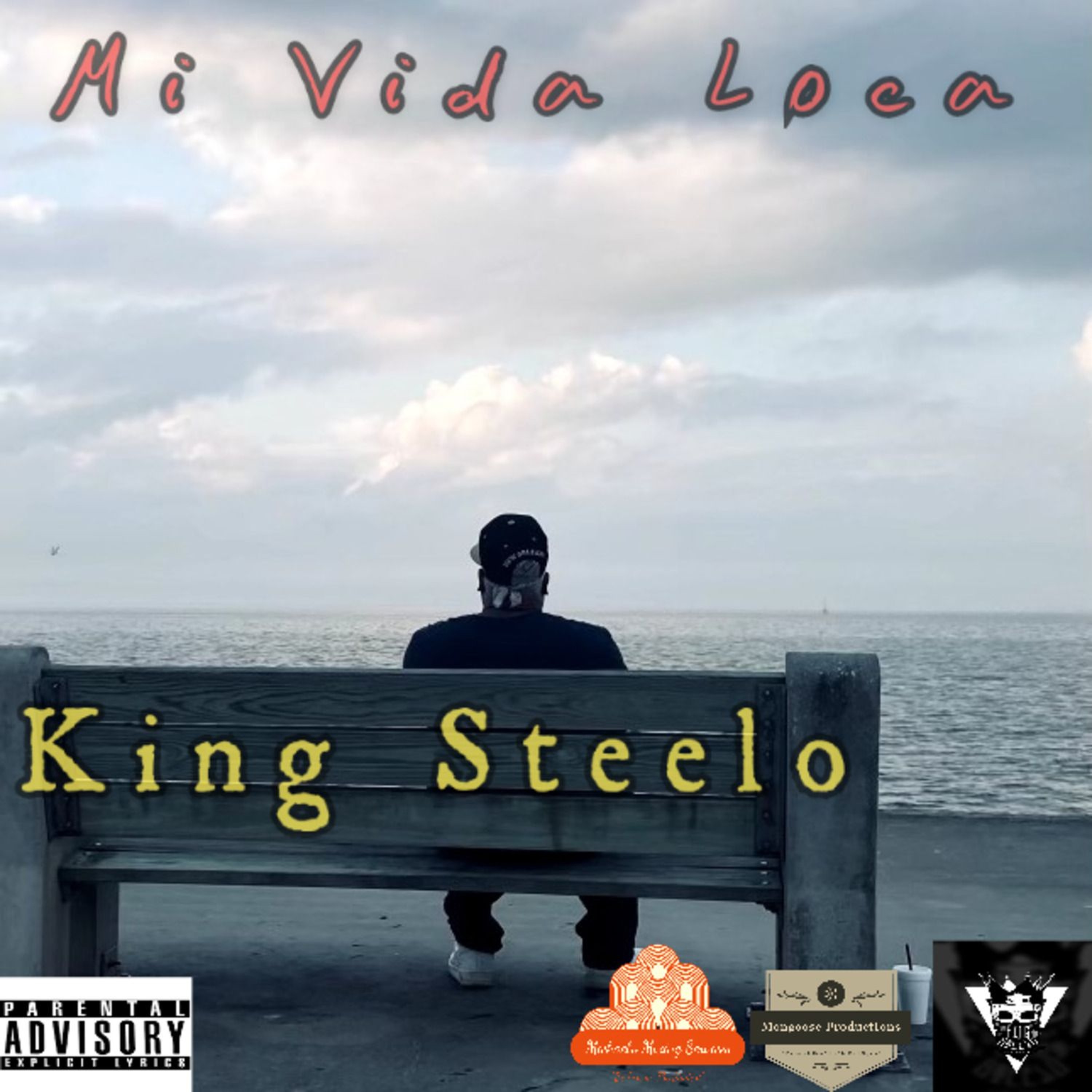 authorkingsteelo@gmail.com
