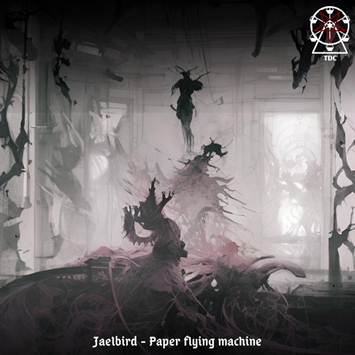 JÆLBiRD  - Paper Flying Machine (Première)