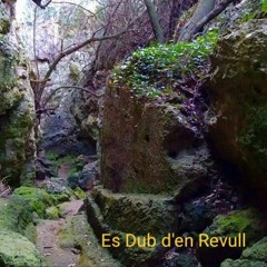 Es Dub d'en Revull