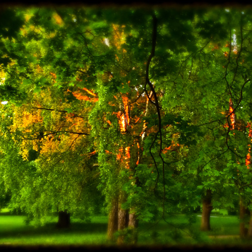 the last September light