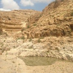 Eliyahu Was Depressed And Hashem Restored His Mind And Body. We Can Be Restored Just Like Him!