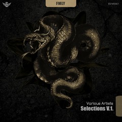 Unknown Entity [BLACK SNAKE] *LABEL TOP 10 TRACK*