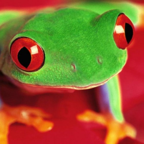 "SHOW ME SOMETHING NEW"