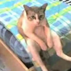 RBTS
