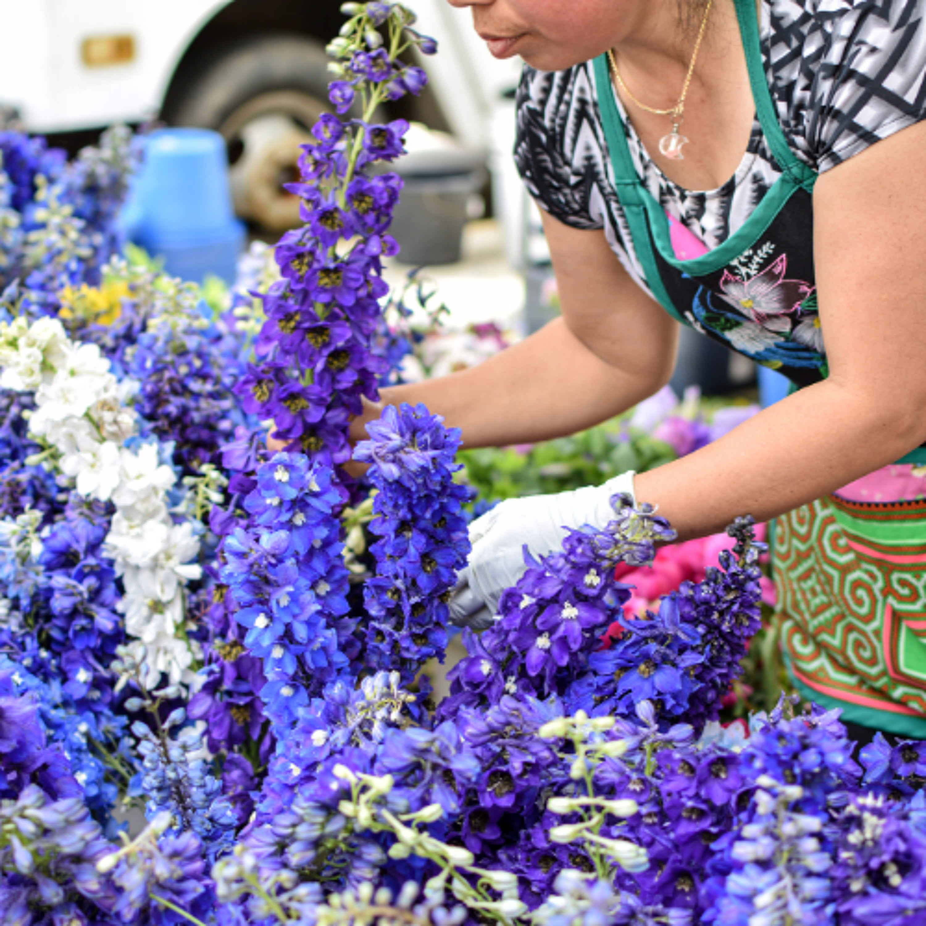 The Dane County Farmers Market Marks the Beginning of Summer