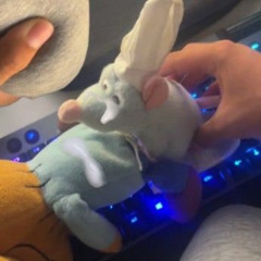 !!ooʜooW