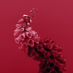 Flume - Take A Chance (Ambient Version)