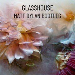 Tinlicker - Glasshouse (Matt Dylan Bootleg)