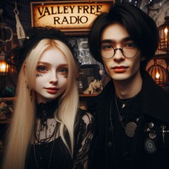 Darkwave 11-07-2024  Valley Free Radio with The Viking Woman