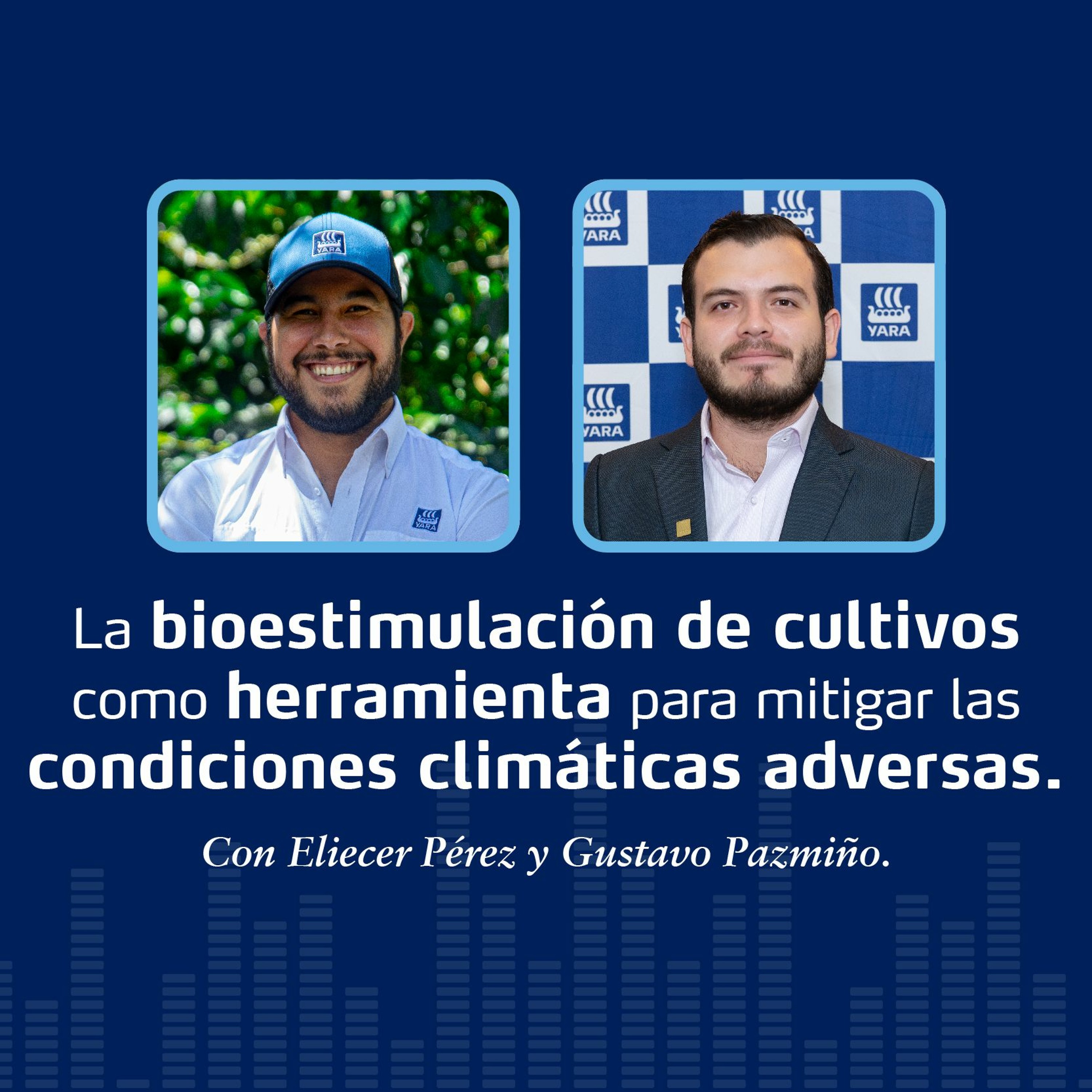 Productores Para El Futuro