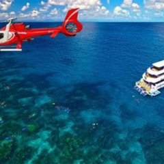 Best Full Day Reef Cruise Including 10 Minute Heli Scenic Flight Get High Package Tours Review