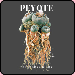 Peyote (Song for the Fire)