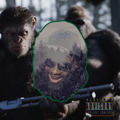 Ape