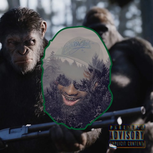 Ape