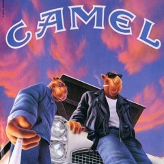 dmp fs pardonne moi (modico31)