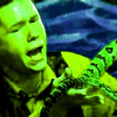 Venom Eclipse (12/14/25)