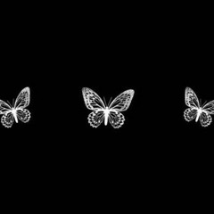 My Love Is Like A Dove Instrumental