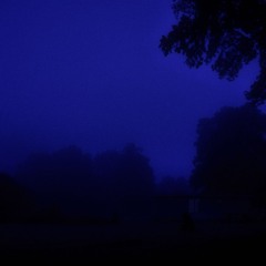 vivid (Slowed + Reverb)