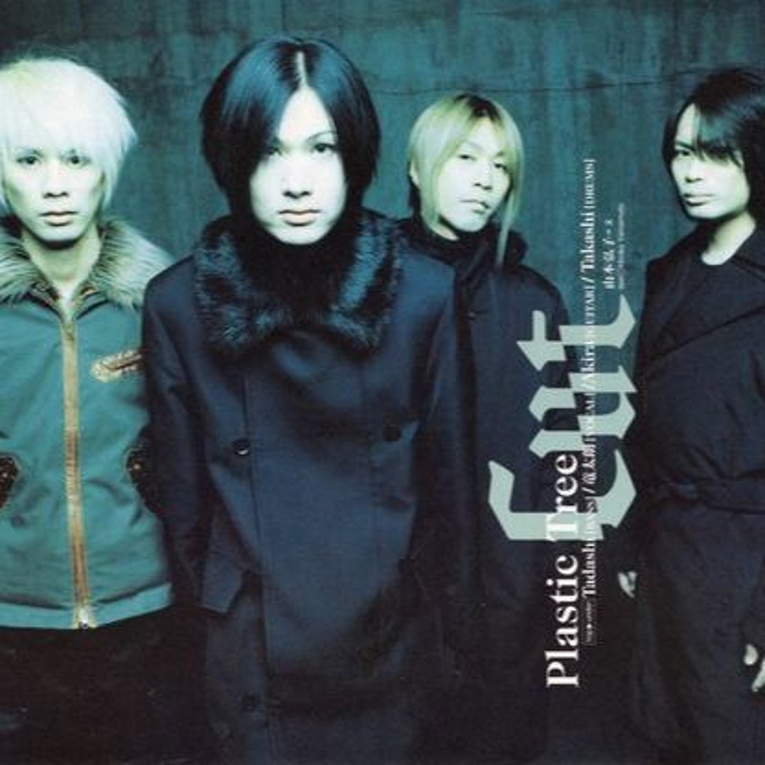 Stream Plastic Tree - サナトリウム Live by karadutbogurtlen