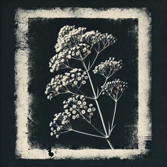 Jesse You (Zonate Mix Series)