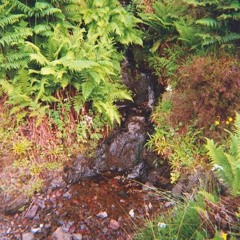Healing - Pools