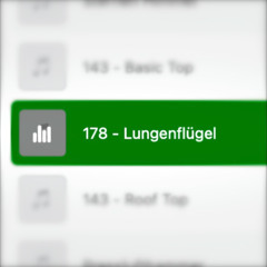 178 - Lungenflügel (2020)