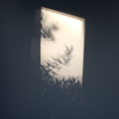 Dream Sequence