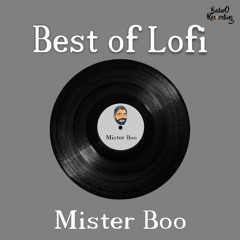 Best of Lofi By Mister BoO  [ 1 hour of aesthetic & calm lofi music ]