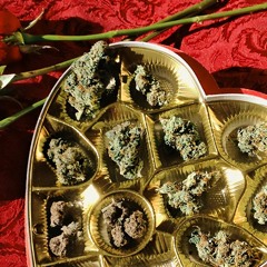 V Day Valentines Day