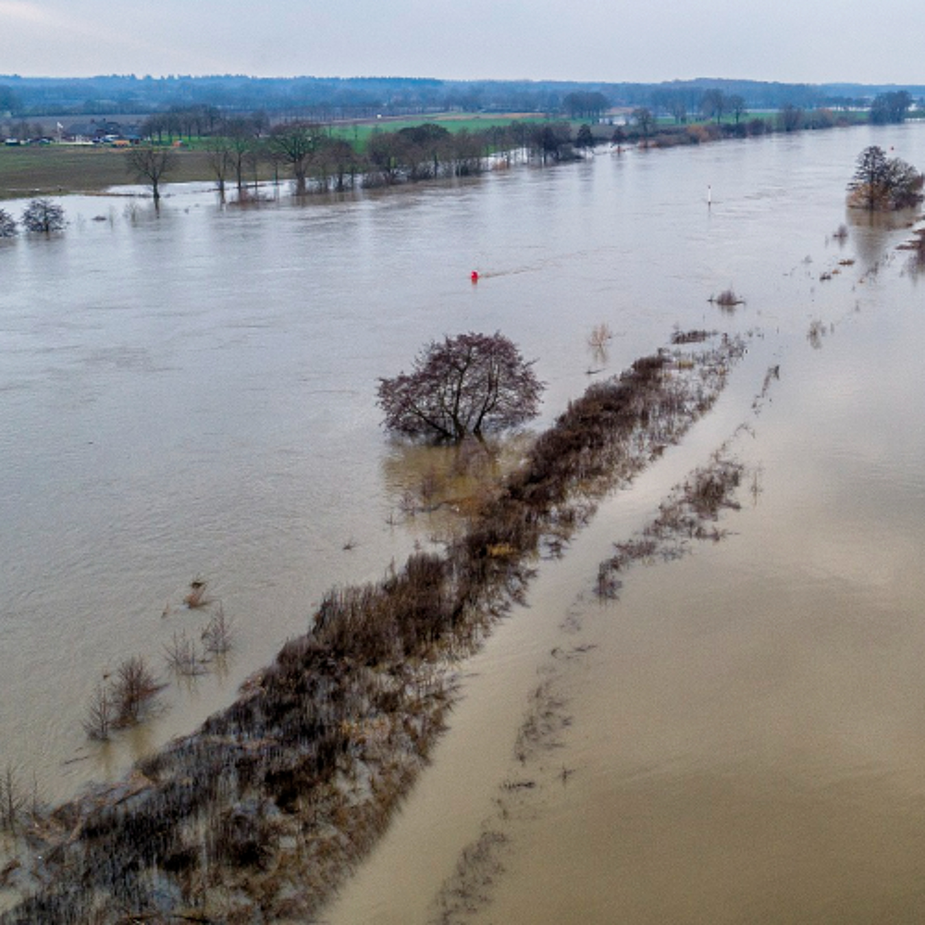 #43 Rivierbodem uit vorm