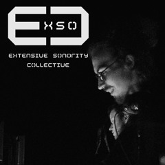 ExSo Shortcast - Kalleidos