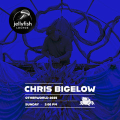 Chris Bigelow - Sunday 3pm @ Jellyfish Lounge 2025