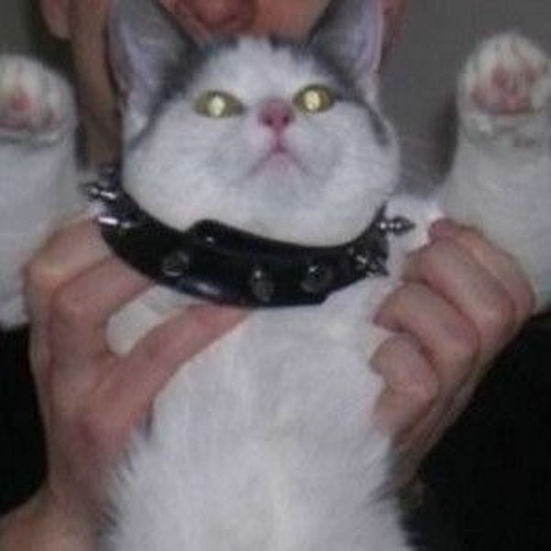 :D
