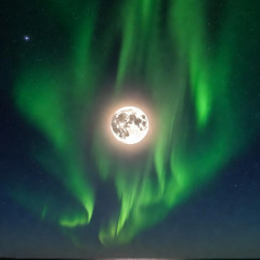 Northern Sky, Southern Tide (1)