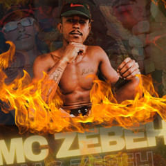 MC ZEBEH DO VN - ELA VEIO PRO VS QUERENDO PUTARIA [ DJ LEO DE CG ] E A TROPA DO VS