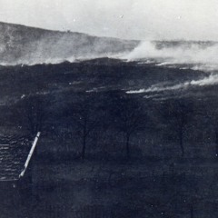 CLIPPING. DOMINOES Mashup