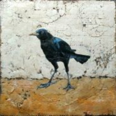 ox 9001 and the crows that follow