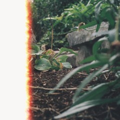 5. Daryanna & Conor 1