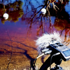Hydrophone recordings in Karatta, Kangaroo Island (1-2/2/22)