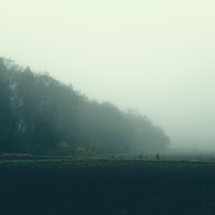 YACHIMATA_201126