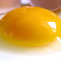 Yolk