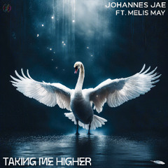 Taking Me Higher (ft. Melis May)