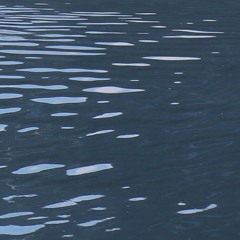 Sturgeon Moon live set 08/18/2024  (full moon party, hornby island)