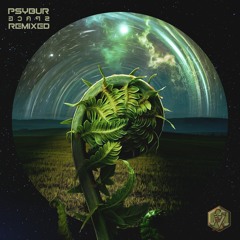 Psybur - The Fungal Jungle (In Kether Remix)
