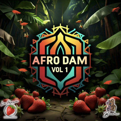 AFRO DAM vol 1