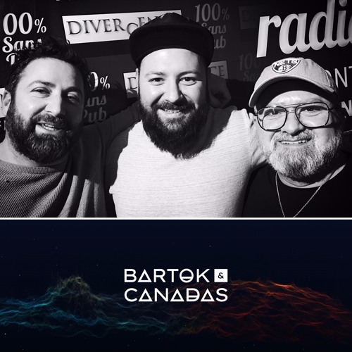 Stream IMMERSION RADIO SHOW, RADIO DIVERGENCE - W/ BARTOK & CANADAS -  150220 by BARTOK & CANADAS | Listen online for free on SoundCloud