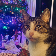 Bryne 12/2025 Christmas Radio Show KCSB 91.9