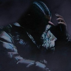 Drake Falling Back FlokiMix