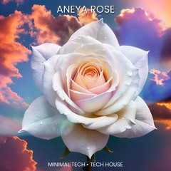 ANEYA ROSE - Live @ Shuffle Tampa [Funky Minimal Tech & Tech House]